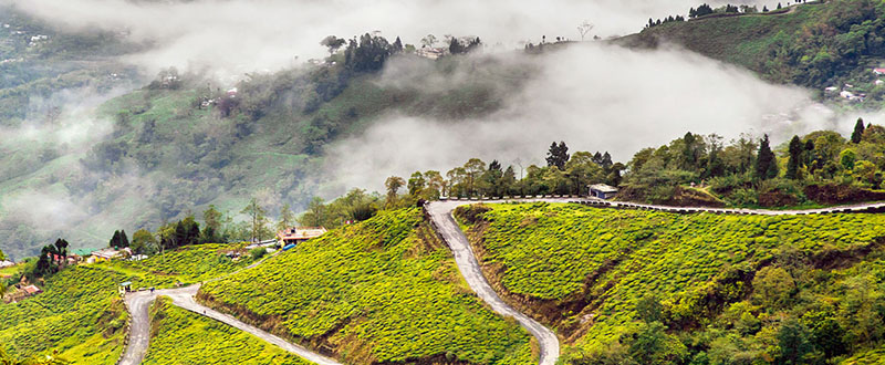 The East Himalayas