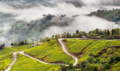 Darjeeling Sikkim Tours